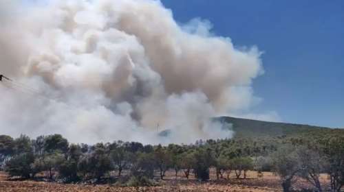 Φωτιά στο Σοφικό Κορινθίας: Ανοίγουν αντιπυρικές ζώνες - Στη μάχη 140 πυροσβέστες και 22 εναέρια μέσα