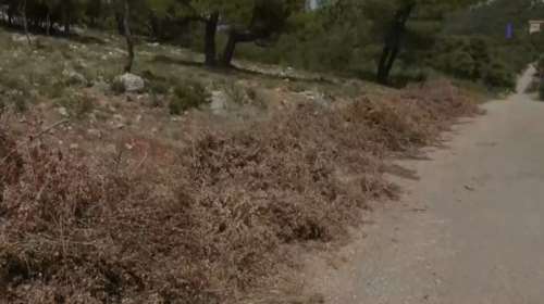 Αττική: "Βραδυφλεγείς βόμβες" τα ακαθάριστα οικόπεδα - Έως τις 30 Ιουνίου η προθεσμία - Μεγάλος ο κίνδυνος πυρκαγιάς