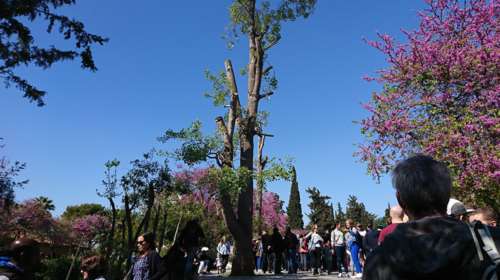 Ανοιξιάτικη ημέρα σήμερα, έως 21 βαθμούς ο υδράργυρος - Τι καιρό θα κάνει την 25η Μαρτίου