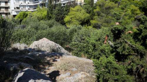 Φωτιά στο λόφο του Φιλοπάππου- Δεν κατευθύνεται προς τις γειτονικές κατοικίες