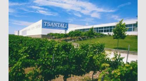 Τσάνταλης: Δρόμος χωρίς επιστροφή για την ιστορική οινοποιία των 133 ετών - Δεν εμφιαλώνει πλέον κρασιά