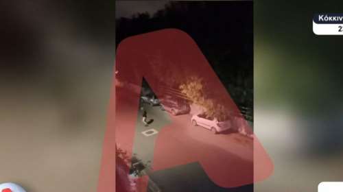 Μενίδι: Σοκαριστικά βίντεο από την επίθεση με ρόπαλα και ξύλα σε 20χρονους - &quot;Με ρώτησαν τι είσαι, Αλβανός;&quot;