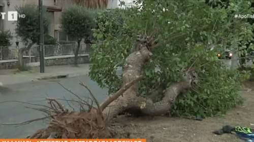 Σοβαρό τροχαίο στο Χαλάνδρι: ΙΧ &quot;καρφώθηκε&quot; σε δέντρο - Χωρίς τις αισθήσεις του ανασύρθηκε ο 20χρονος οδηγός