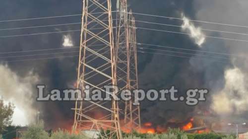 Φωτιά σε εργοστάσιο ανακύκλωσης στο Σχηματάρι - Μεγάλη κινητοποίηση της πυροσβεστικής [βίντεο]