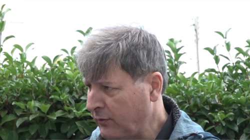 Νίκος Κουρής: Είμαι σίγουρος ότι είμαι γιος του Μίκη - Δεν πήγε η Μαργαρίτα για την εξέταση DNA [βίντεο]