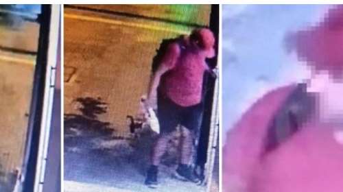 Θεσσαλονίκη: Επικήρυξη 3.000 ευρώ από φιλοζωική για τον ασυνείδητο που ποδοπάτησε μέχρι θανάτου το γατάκι