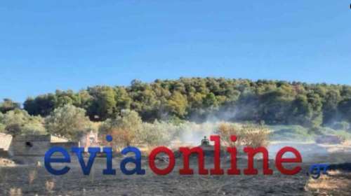 Φωτιά στην Εύβοια: Τραυματίστηκε εθελοντής πυροσβέστης