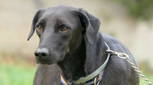 Θέλετε να πάρετε στην αγκαλιά σας τον Μορφέα; Θα του αλλάξετε τη ζωή για πάντα