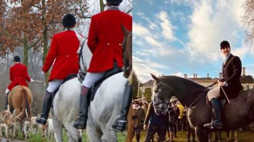 Επίσημο: Tέλος για το κυνήγι της αλεπούς, μία παράδοση 250 ετών - Αγαπημένο σπορ και του Παύλου