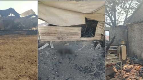 Φωτιά στον Εβρο: Εικόνες απόλυτης καταστροφής με εκατοντάδες καμένα ζώα και χιλιάδες στρέμματα που έγιναν στάχτη