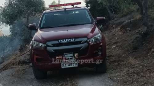 Λαμία: Δύο νεαροί προσήχθησαν για απόπειρα εμπρησμού - Τους είδαν να ρίχνουν πετρέλαιο σε θάμνους