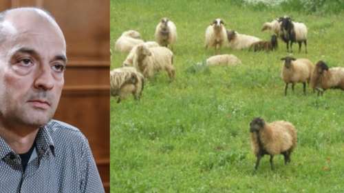 ΟΠΕΚΕΠΕ: Έλεγχος στον Μαγειρία το 2019 δεν βρήκε ζώα - Είχε γίνει αστυνομική έφοδος και για αρχαιοκαπηλία το 2015