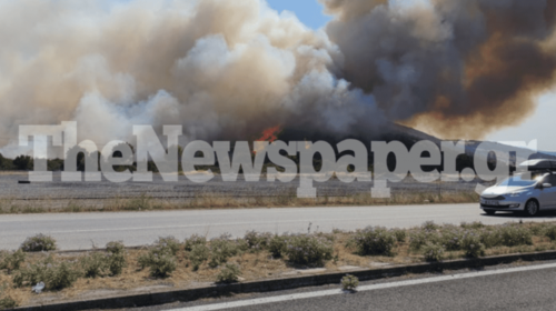 Μεγάλη φωτιά έξω από τον Βόλο - Δύσκολη μάχη με της φλόγες [εικόνες-βίντεο]