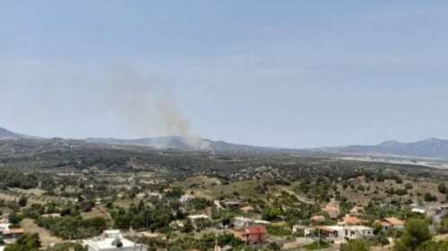 Φωτιά στο Μαρκόπουλο: Κινείται μέσα σε ρέμα, σηκώθηκαν αεροσκάφος και ελικόπτερα - Πού έχει διακοπές κυκλοφορίας [βίντεο]
