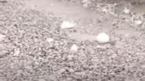 H Ιταλία &quot;ψήνεται&quot; και στα βόρεια ρίχνει χαλάζι σε μέγεθος μπάλας του τένις - 110 άτομα τραυματίστηκαν [βίντεο]