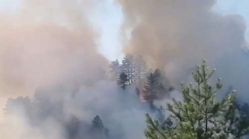 Φωτιά στον Γράμμο - Στη &quot;μάχη&quot; της κατάσβεσης και εναέρια μέσα