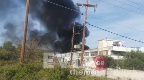 Φωτιά στη Ριτσώνα: Καίγεται εργοστάσιο με λάστιχα και αφρολέξ - Φόβοι για εκρήξεις [εικόνες-βίντεο]