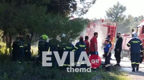 Εύβοια: Θανατηφόρο τροχαίο με ένα νεκρό και ένα τραυματία -Το Ι.Χ αναποδογύρισε και τυλίχτηκε στις φλόγες [εικόνες]