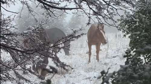 Στα λευκά ορεινές περιοχές της χώρας - Χιόνια σε Πήλιο, Τρίκαλα, Φθιώτιδα [εικόνες - βίντεο]