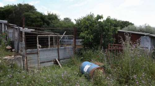 Καβάλα - Θάνατος 68χρονης: Χτύπημα από κριάρι ή εγκληματική ενέργεια; "Την έδερνε και την απειλούσε" λέει ο αδερφός της για τον άντρα της