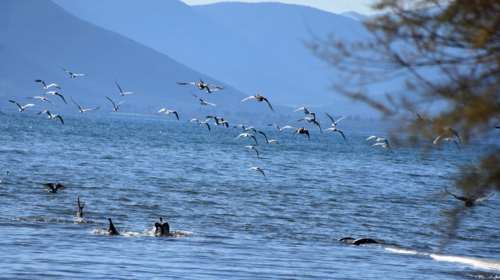 Καιρός: Ήλιος αλλά και κρύο σχεδόν σε όλη τη χώρα - Πού θα κυμανθεί η θερμοκρασία
