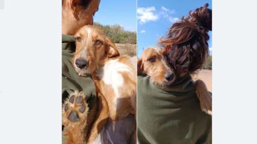 Η υπέροχη μικρή Μόκα στεναχωριέται