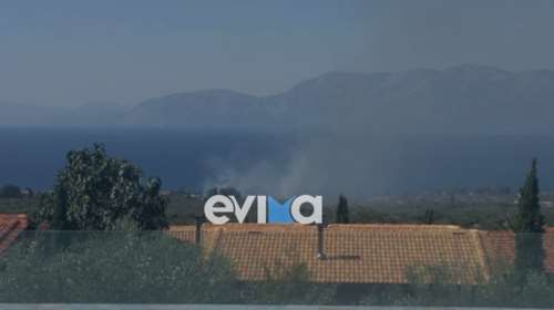 Συναγερμός στην Εύβοια: Φωτιά κοντά σε δύο ξενοδοχεία