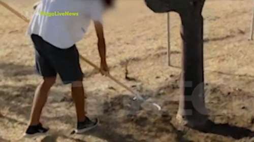 Κιβωτός του Κόσμου: Παιδιά σκάβουν με τσάπες και τσουγκράνες στον ήλιο με 40 βαθμούς Κελσίου... [βίντεο]