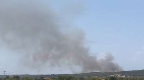 Φωτιά τώρα στον Ωρωπό: Κοντά σε οικισμό - Μήνυμα 112 στους κατοίκους να είναι σε ετοιμότητα [βίντεο]