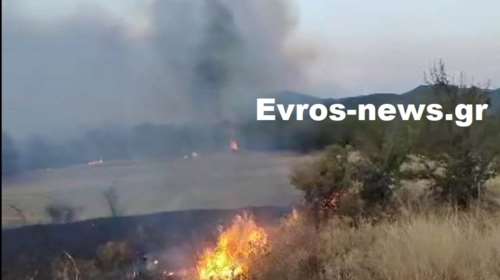 Φωτιά σε αγροτοδασική έκταση στη Μελία Αλεξανδρούπολης - Ισχυρές δυνάμεις στο σημείο
