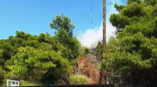 Λευκάδα: Φωτιά στο Πόρτο Κατσίκι - Μεγάλη επιχείρηση της Πυροσβεστικής, πνέουν δυνατοί άνεμοι