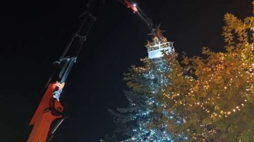 Αθήνα: Στολίστηκε το χριστουγεννιάτικο δέντρο στην Πλατεία Συντάγματος - Την Πέμπτη η φωταγώγηση [βίντεο]