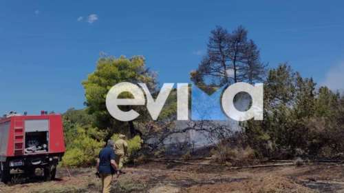 Φωτιά στα Ψαχνά Ευβοίας: Διακοπή ρεύματος σε πολλές περιοχές