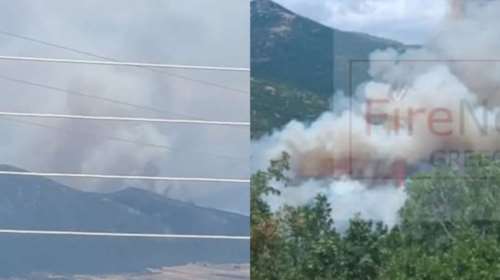 Φωτιά στη Δεσκάτη Γρεβενών: Εκκενώθηκε καταφύγιο με 55 παιδιά - &quot;Ανεξέλεγκτη η πυρκαγιά&quot; [βίντεο]