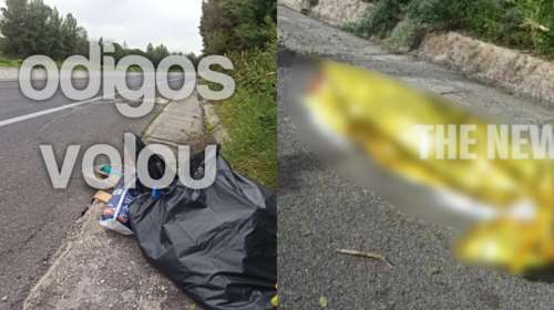 Μαγνησία: Πώς έγινε το τροχαίο στο Στεφανοβίκειο - Η 25χρονη εκτινάχθηκε από το ΙΧ και έπεσε στην άσφαλτο [εικόνες]