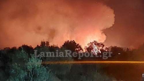 Φωτιά στην Κάτω Τιθορέα: Προς Ελάτεια κατευθύνεται η πυρκαγιά - &quot;Προλάβαμε τα χειρότερα&quot;