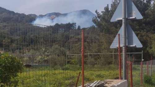 Φωτιά στη Σάμο - Ισχυρές πυροσβεστικές δυνάμεις στο σημείο [εικόνες]