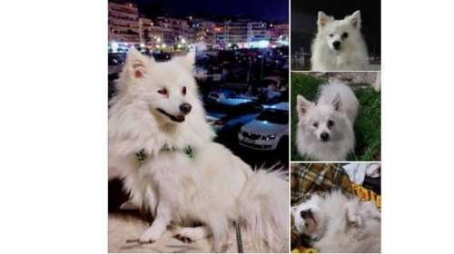 Ο Βάις βρέθηκε από περαστικό στον Ασπρόπυργο: Είναι ένας κύριος όταν πας μαζί του για καφέ