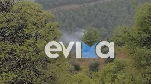 Φωτιά τώρα στην Εύβοια: Πυρκαγιά στα Καλύβια, ξέσπασε από κεραυνό