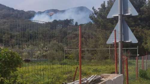 Υπό μερικό έλεγχο η φωτιά στην Οιχαλία Μεσσηνίας: Εναέρια μέσα και 40 πυροσβέστες στη μάχη με τις φλόγες