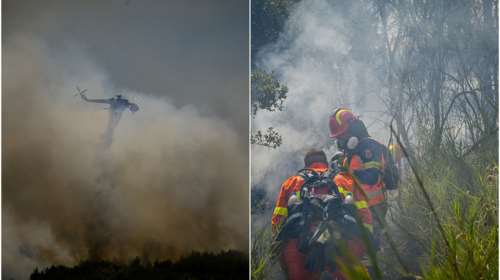 Υπό μερικό έλεγχο η πυρκαγιά στο Βαρνάβα Αττικής: Άναψε από όχημα που πήρε φωτιά εν κινήσει