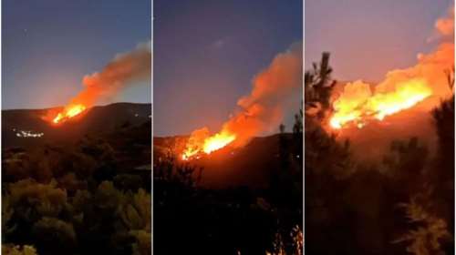 Φωτιά στη Χίο: Καίγεται δασική έκταση στο χωριό Διευχά [εικόνες, βίντεο]