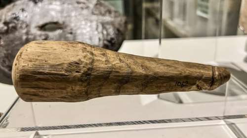Ταράζουν τα νερά οι Βρετανοί αρχαιολόγοι: Ανακάλυψαν αρχαίο ρωμαϊκό ξύλινο δονητή σε φυσικό μέγεθος;