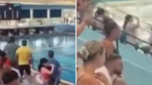 Εικόνες ντροπής στη Χίο: Γονείς τραμπουκίζουν παιδιά σε αγώνα πόλο - Απίστευτα σχόλια από γραμματέα του δήμου [βίντεο]