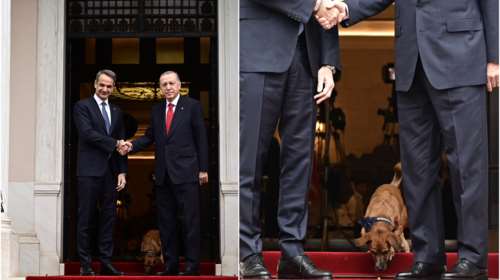 &quot;Πρωταγωνιστής&quot; ο Πίνατ στο Μέγαρο Μαξίμου: Πώς υποδέχτηκε τον Ρετζέπ Ταγίπ Ερντογάν [εικόνες, βίντεο]