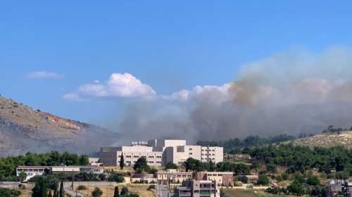 Φωτιά ξέσπασε κοντά στο Νοσοκομείο Χαλκίδας: Στην περιοχή πνέουν ισχυροί άνεμοι [Εικόνες βίντεο]