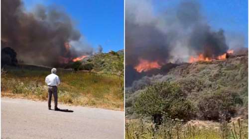Λακωνία: Φωτιά στον Άγιο Στέφανο Μονεμβασιάς - Ισχυροί άνεμοι πνέουν στην περιοχή [βίντεο]