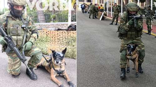 Θεσσαλονίκη: Ο σκύλος κομάντο του Ελληνικού Στρατού που κάνει τον εχθρό να... τρέμει [εικόνες - βίντεο]