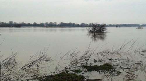 Τουρκικοί ισχυρισμοί για πυροβολισμούς στον Έβρο: &quot;Fake news&quot; απαντά ο Θεοδωρικάκος - &quot;Ουδέποτε συνέβη&quot; αναφέρει η ΕΛΑΣ