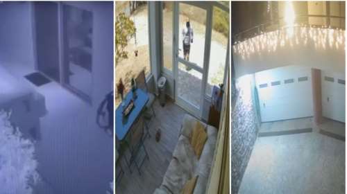 Σπείρα διαρρηκτών είχε ρημάξει σπίτια της Αττικής - Νάρκωναν σκυλιά και παρίσταναν τους κηπουρούς [βίντεο]